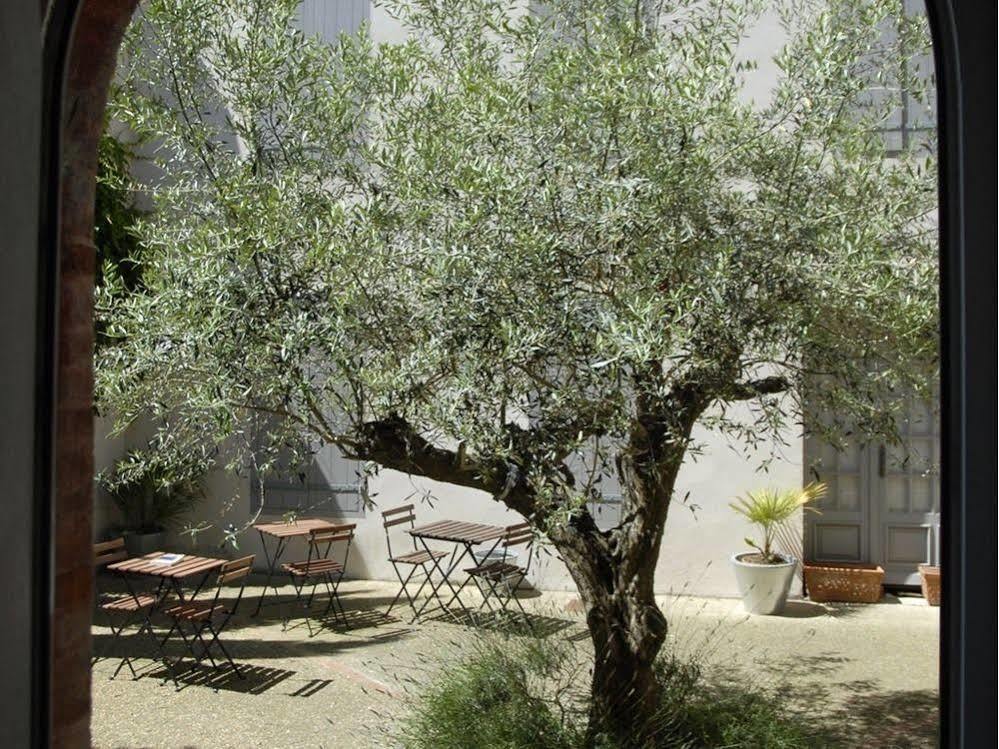La Maison Vieille Maison d'Hôtes&Gîtes Carcassonne Extérieur photo